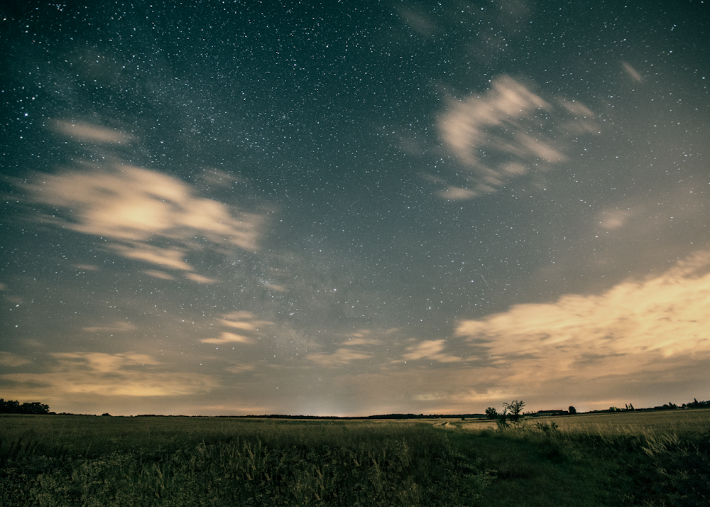 time-lapse photograph of grass field