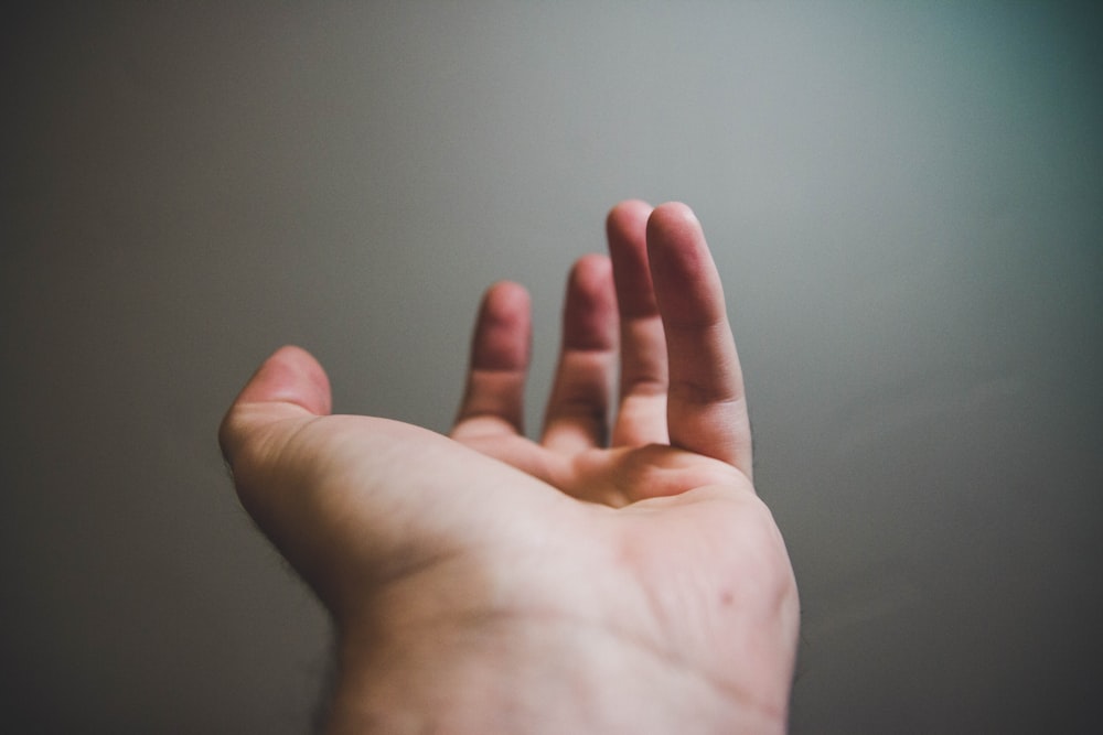 focus photography of person's open hand