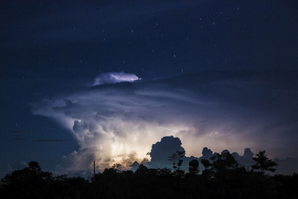 silhouette of trees and view of storm