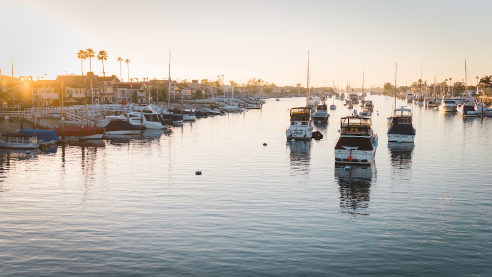 Bateaux de pêche sur plan d’eau