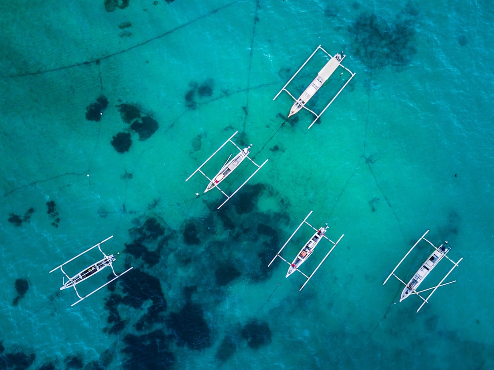 aerial view photography of five boats on body of water