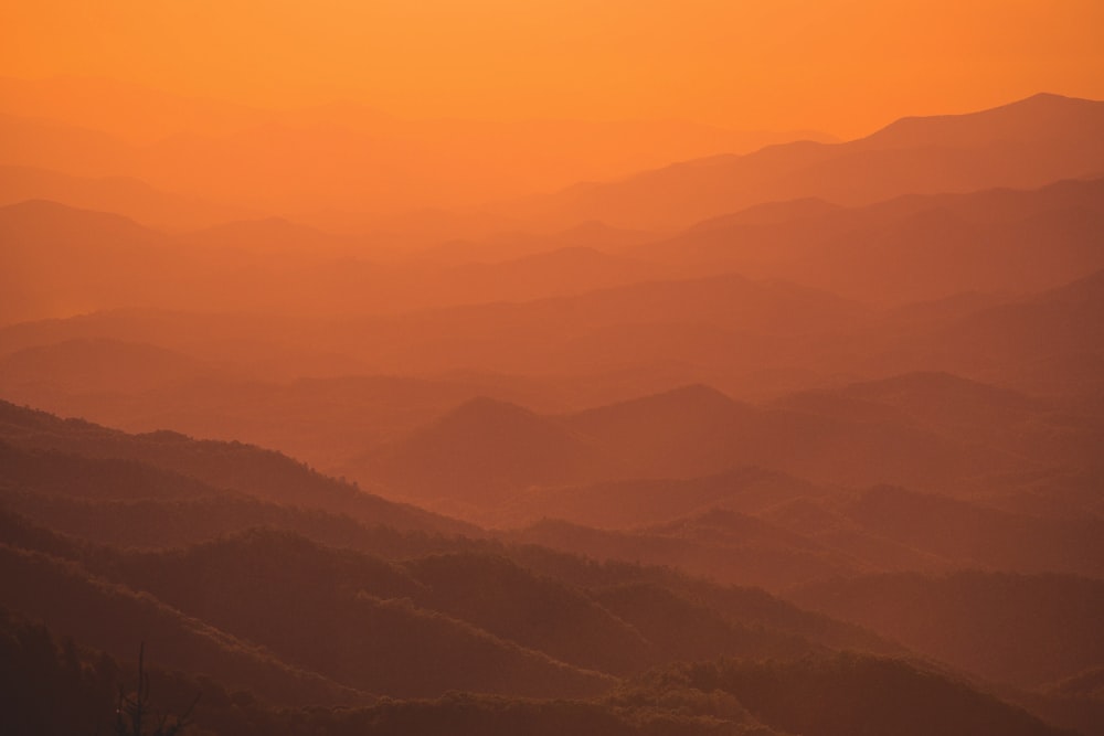 Vue aérienne de la forêt sous un ciel orangé