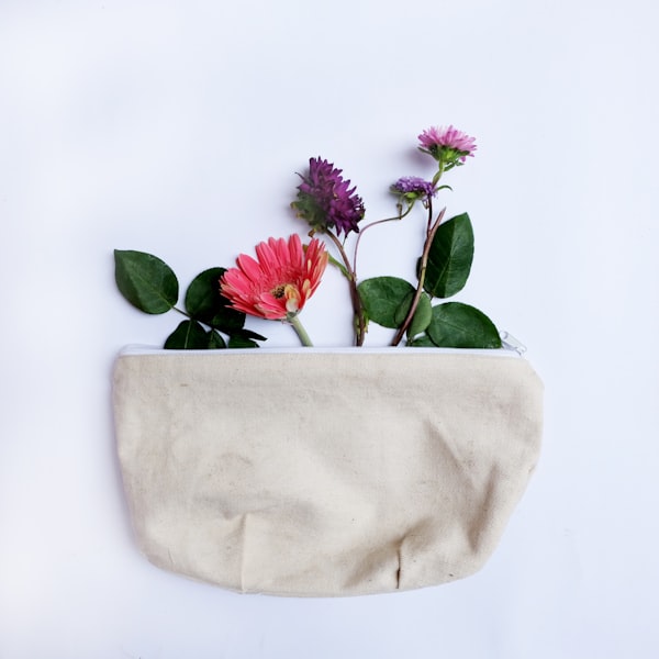 Smell Proof Bag