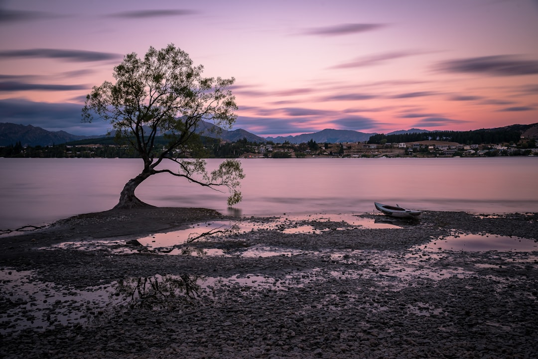 Lake photo spot That Wanaka Tree (#thatwanakatree) New Zealand