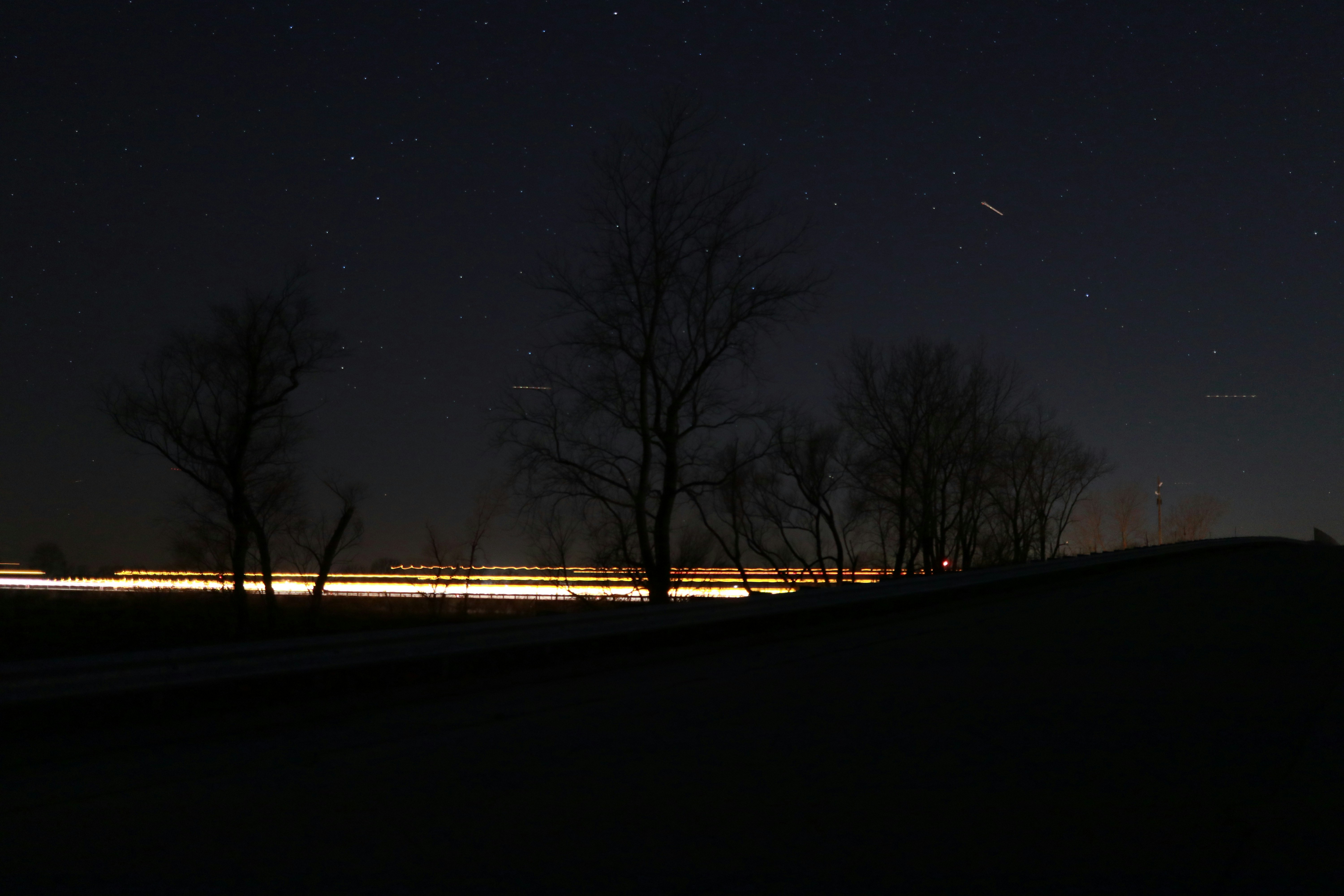 silhouette photo of trees during nighttime