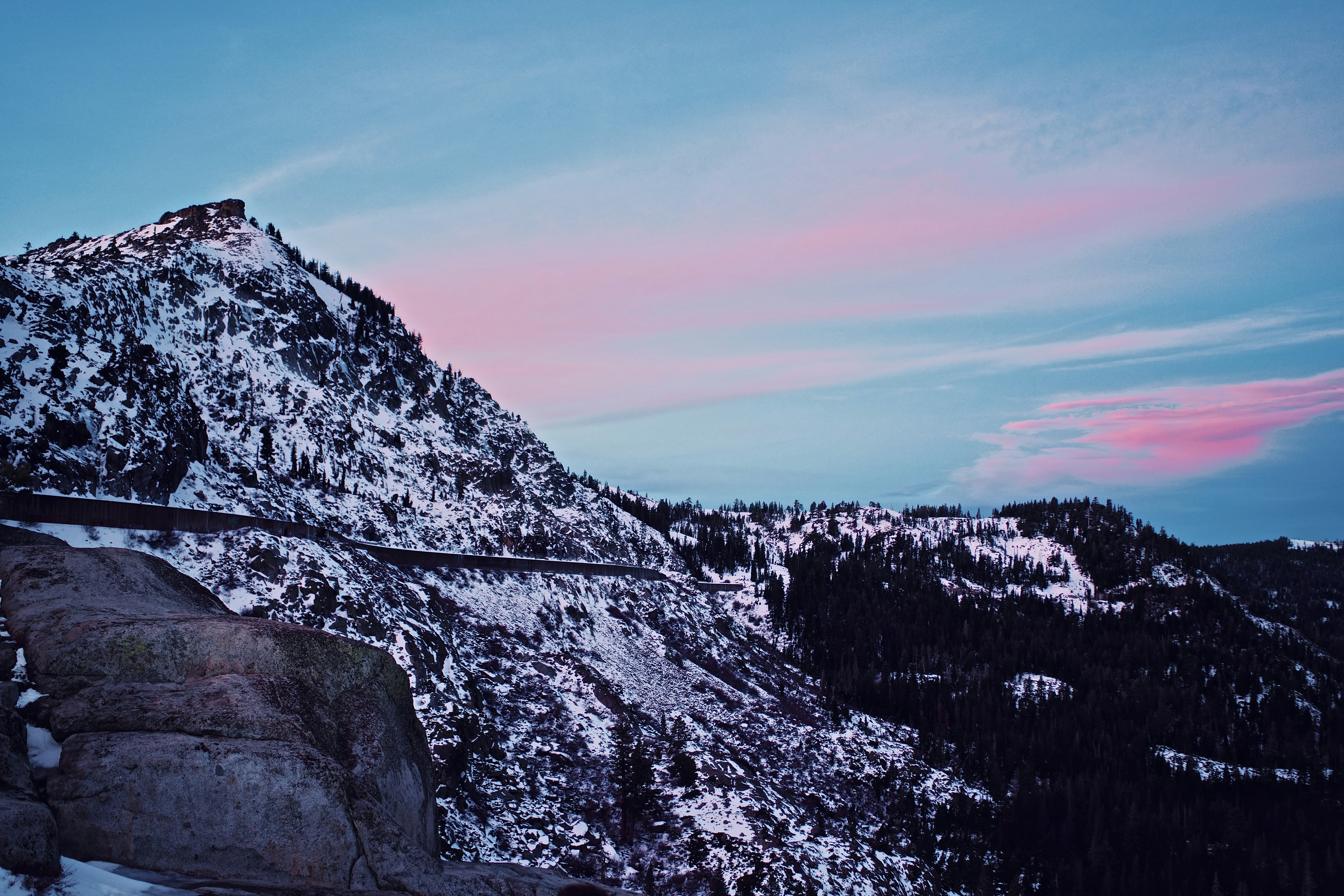 snowy mountain covered with pine trees