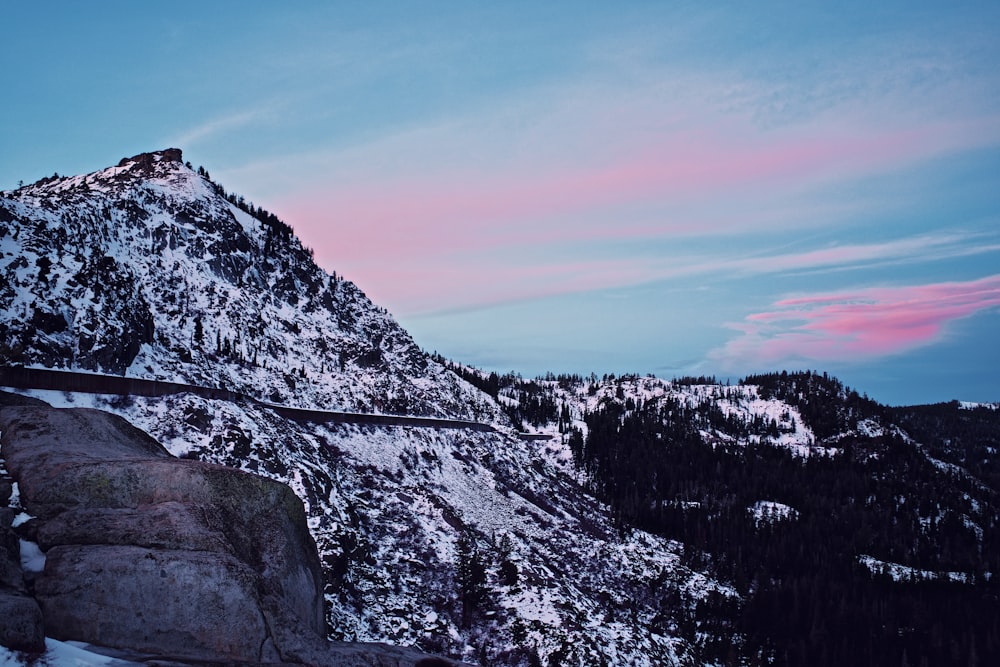 snowy mountain covered with pine trees