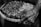 grayscale photography of person holding tray with candle lot