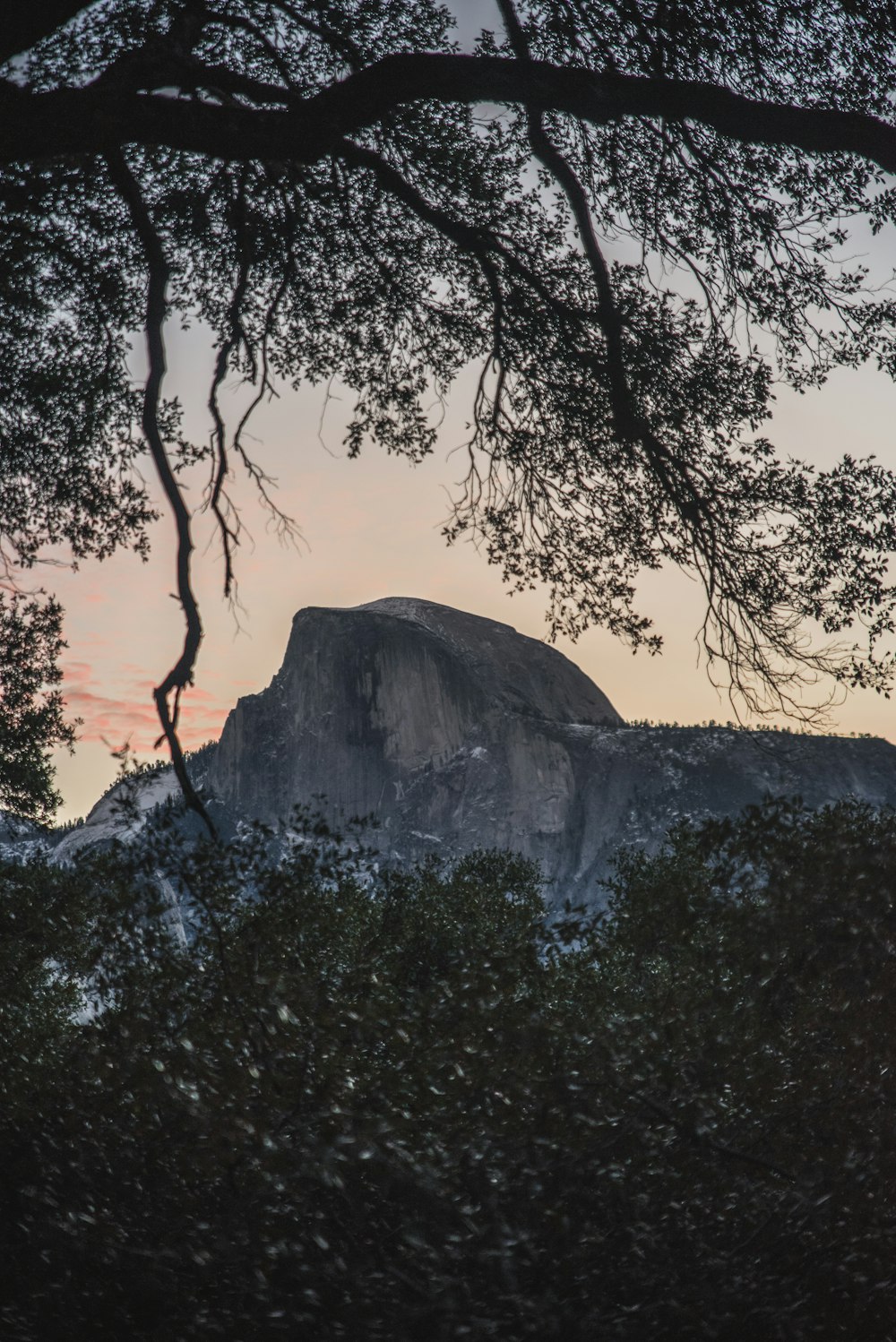 landscape photography of mountain and trees