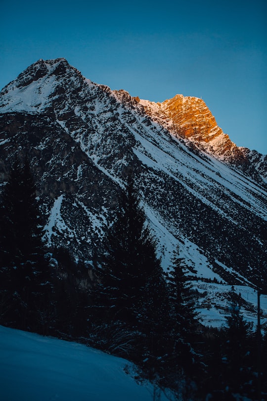 snow mountains surrounded with pine trees in Valdidentro Italy