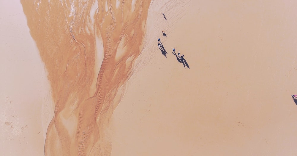bird's eye view of desert sand