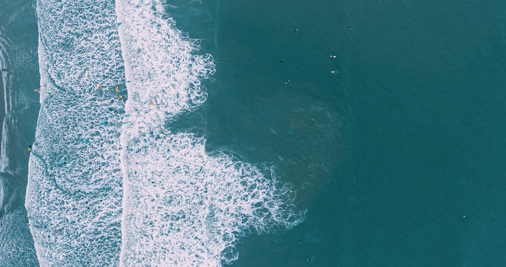 aerial view of blue body of water