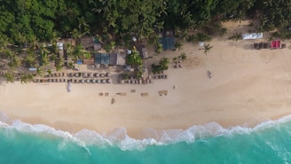 aerial view of beach