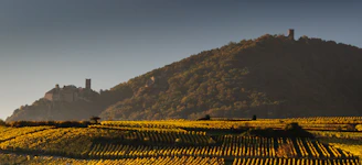 Rolling hills of the Loire Valley dotted with charming chateaux.