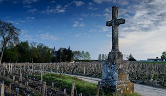 A large stone cross stands prominently in the foreground against a vineyard backdrop. The vineyard is filled with rows of grapevines and is bordered by trees and a distant chateau. The sky above is partly cloudy, with sunlight peeking through, creating a serene, picturesque scene.