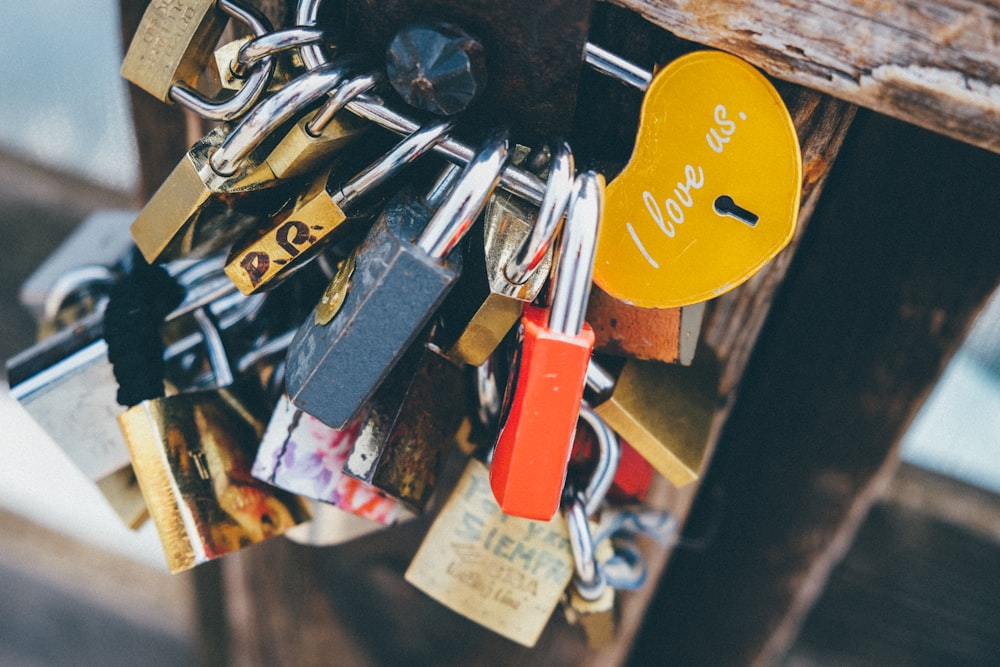 assorted-color padlocks locked on hook