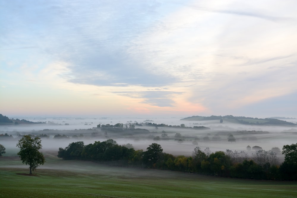 Terreno coberto por Fog Photo