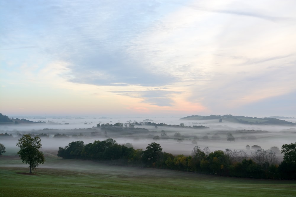 terrain covered by mist photo