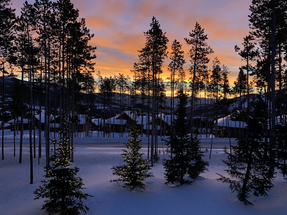 photo of snow coated houses