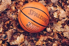 orange Spalding basketball on dried leaves