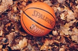 orange Spalding basketball on dried leaves