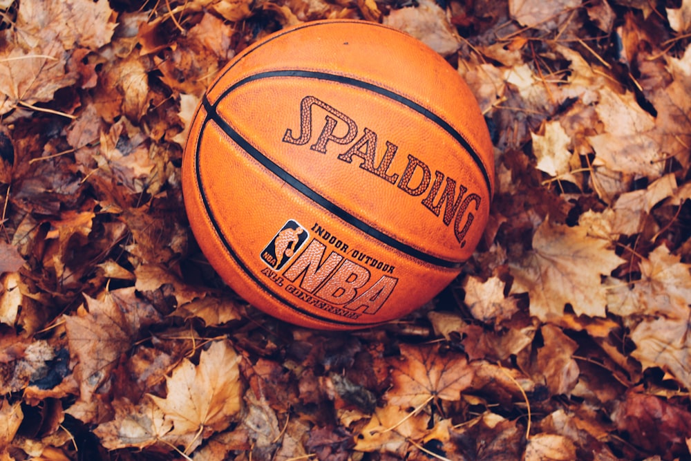 乾燥した葉にオレンジ色のスポルディングバスケットボール
