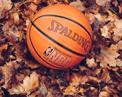 Basketball