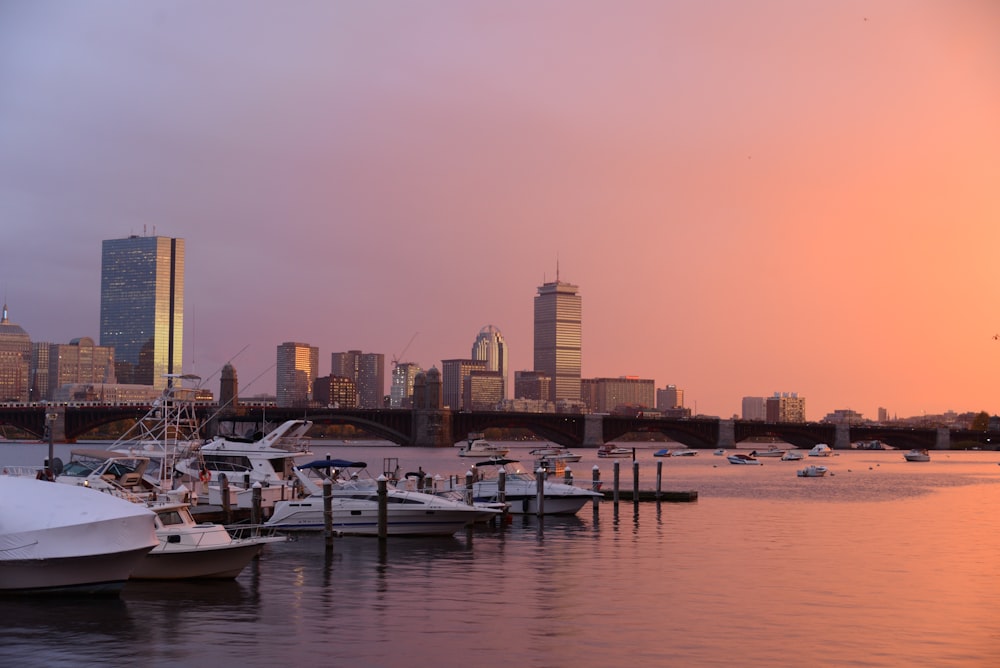 photo of city building near body of water