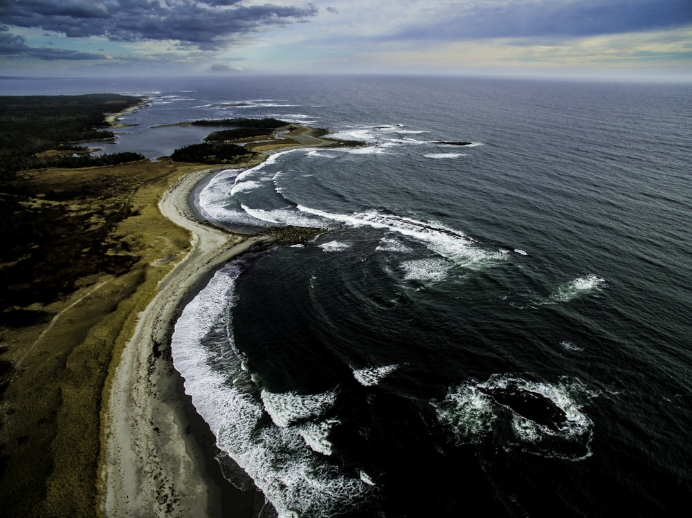 aerial photo of shoreline