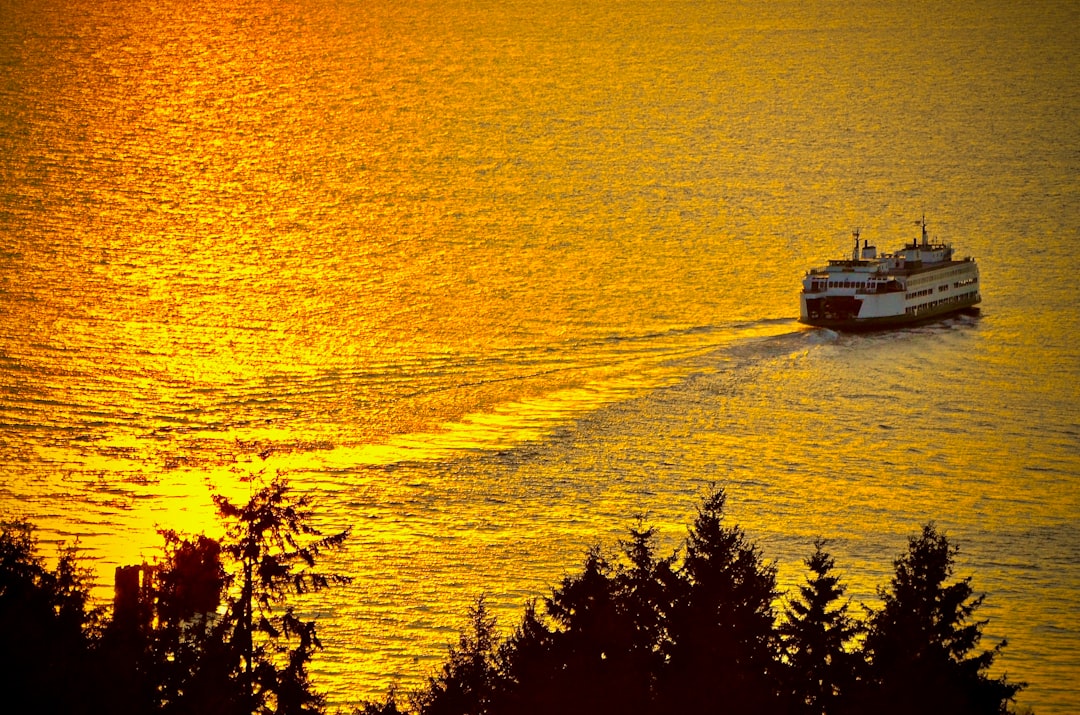 Ferry over golden water