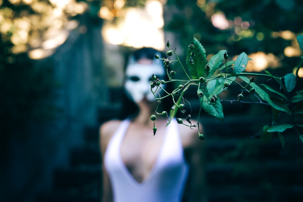 Foto de enfoque selectivo de planta de hojas verdes