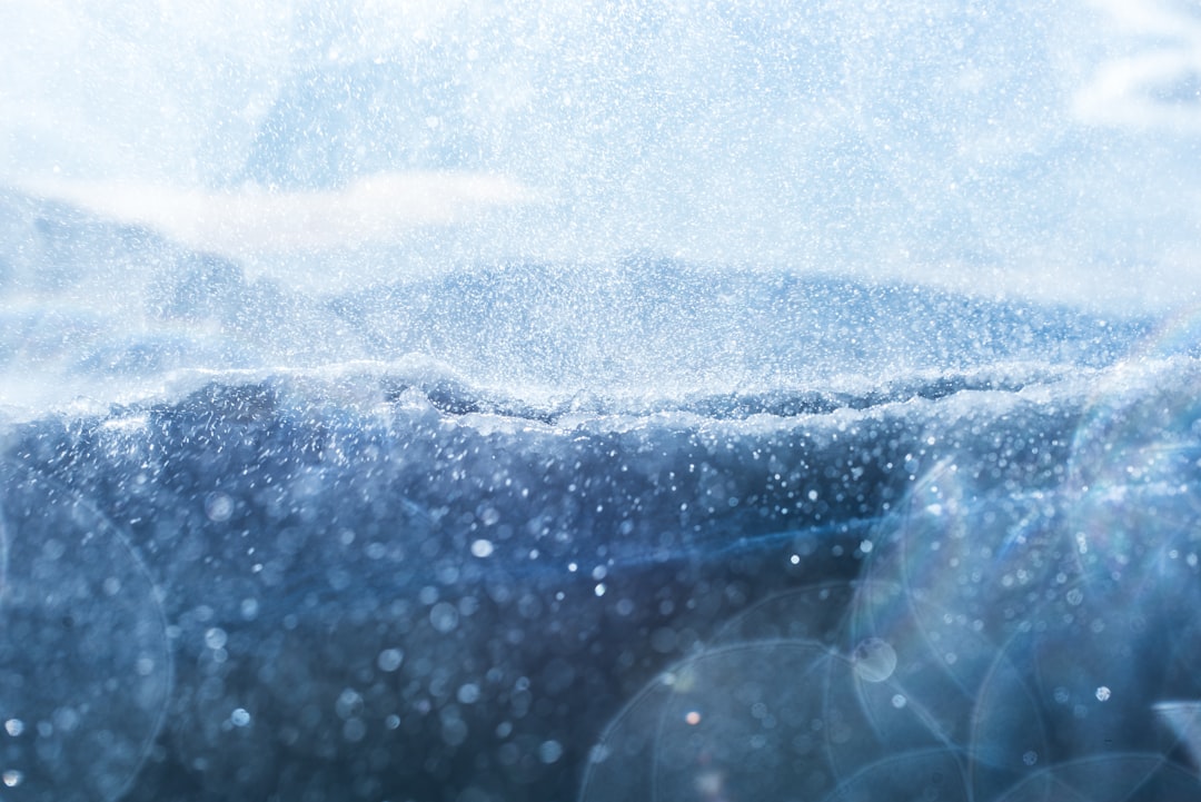 closeup photo of white dust,