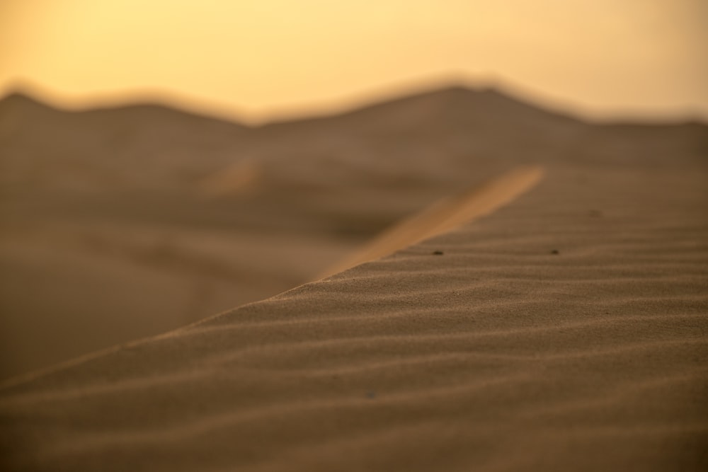 closeup photo of white sands