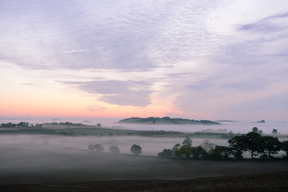 mountain covered by fog