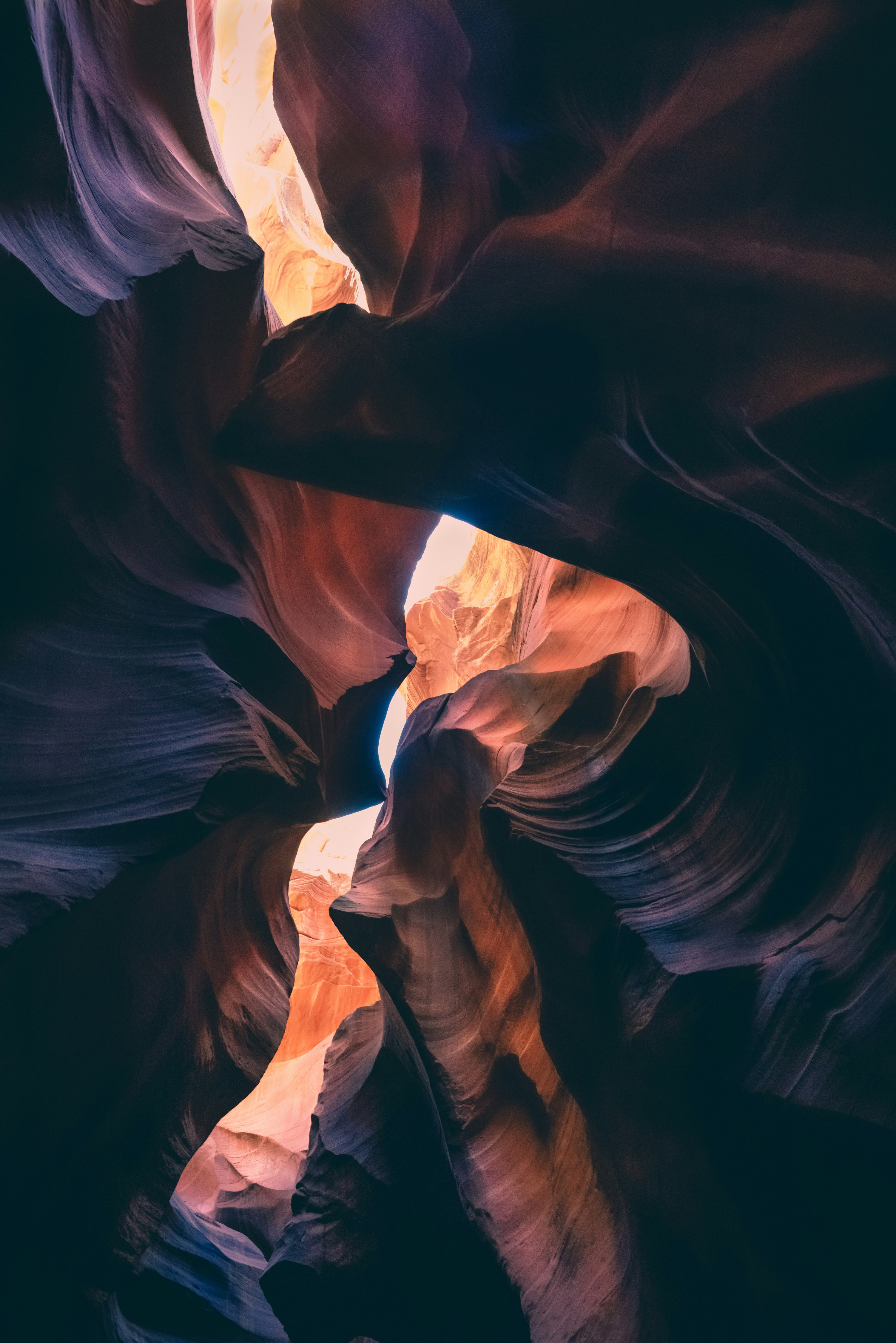 https://images.unsplash.com/photo-1516815399035-6df8878d4a92?ixlib=rb-4.1.0&q=80&fm=jpg&crop=entropy&cs=tinysrgb&w=400&fit=max