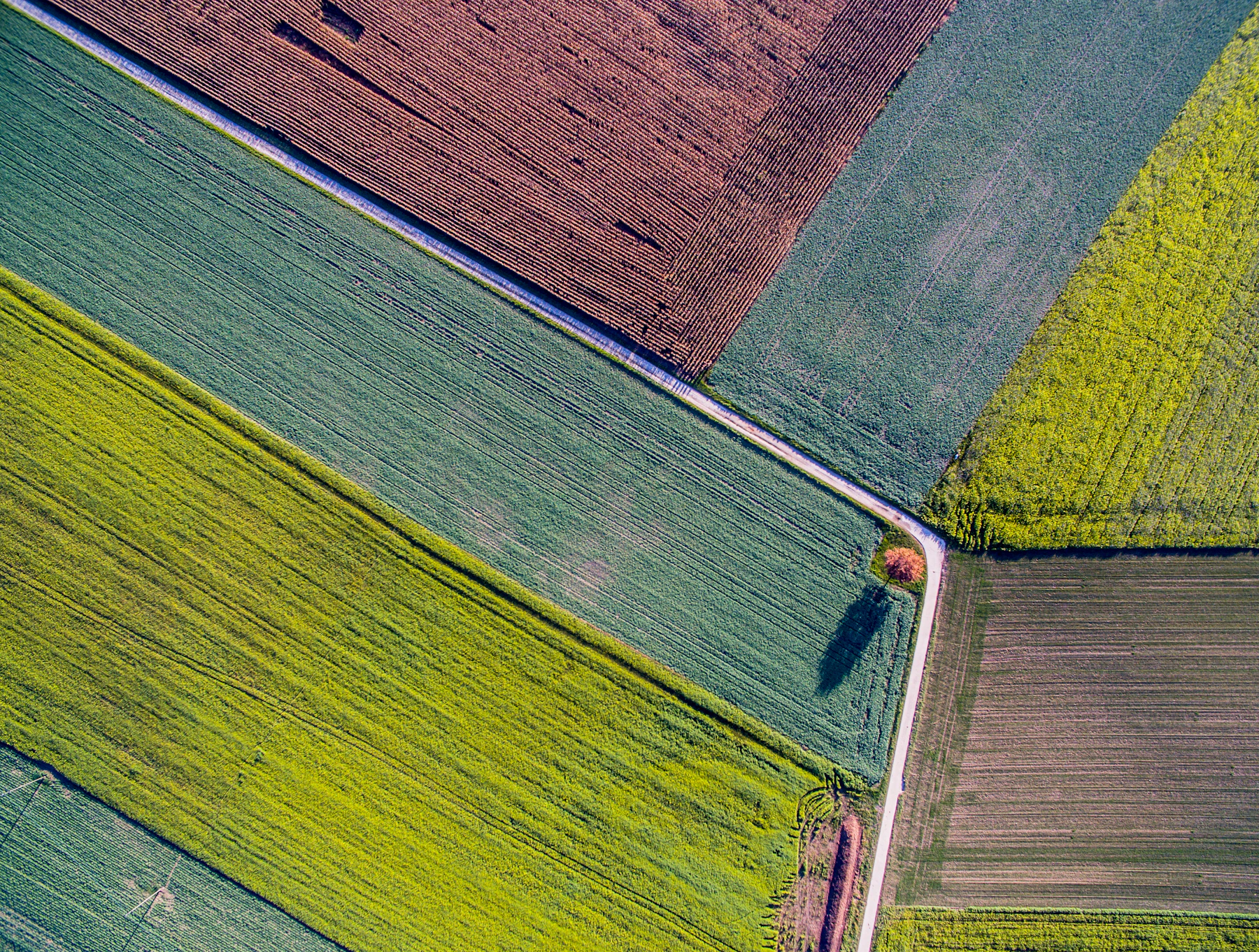Aerial farm field