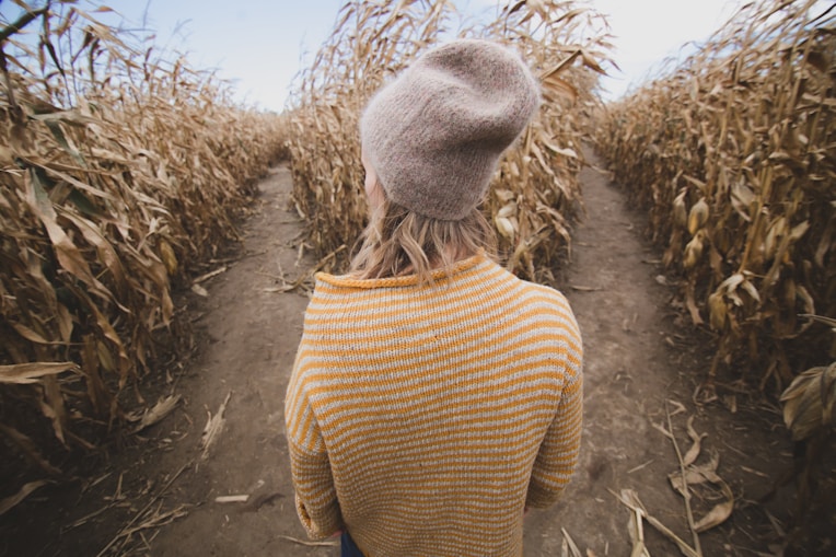 Person in striped sweater and beanie in a dried cornfield, illustrating journey and development inAI