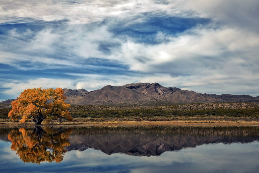 landscape photography of mountains near body of water under cloudy sky