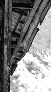 A black and white depiction of an architectural structure featuring a prominently visible wooden beam and a corrugated metal roof. The metal roof is slightly weathered, with visible bolts and mesh underneath. The background shows an out-of-focus natural environment, likely with trees or foliage.