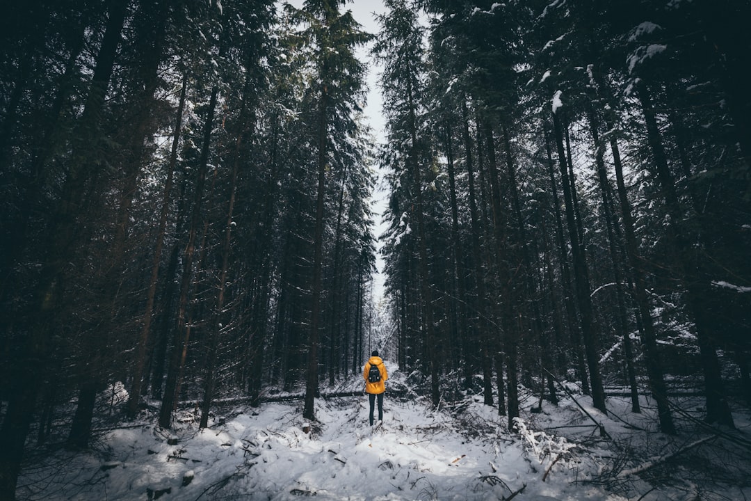 man standing surrounded with trees,