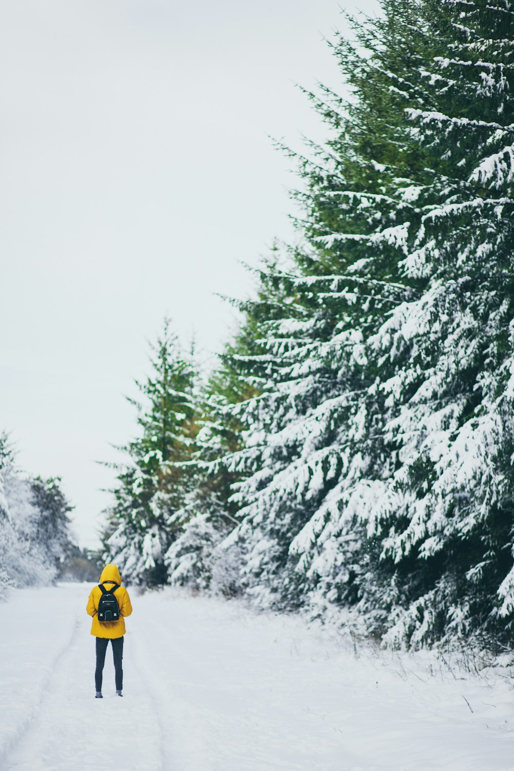 Person, die im Winter steht