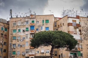 beige concrete buildings