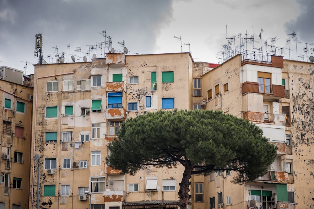 beige concrete buildings