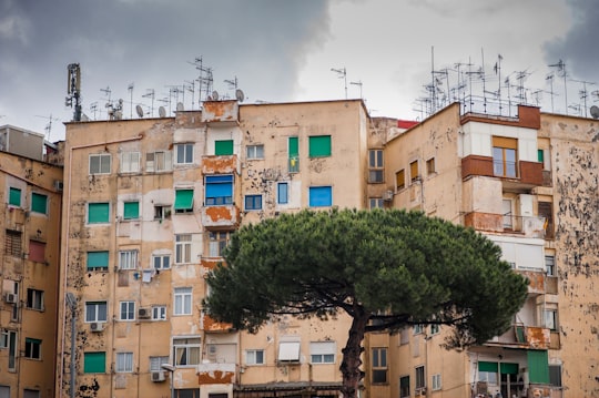 beige concrete buildings in Metropolitan City of Naples Italy