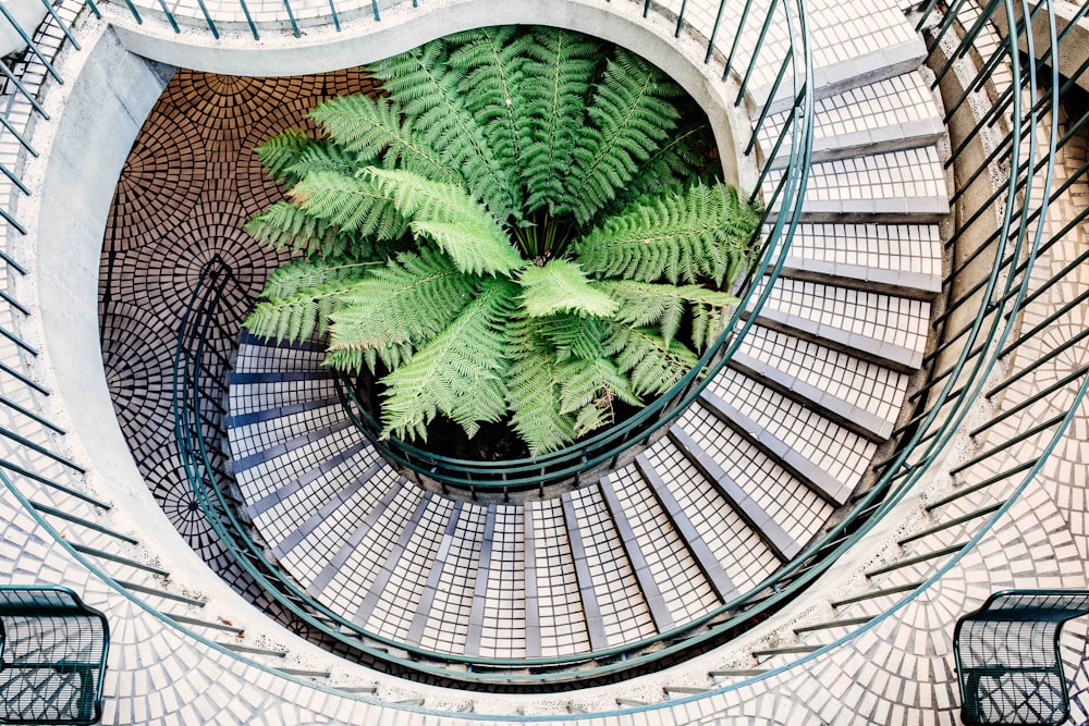 white spiral stairs