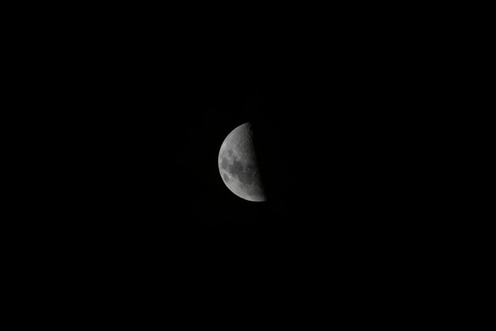 Canon EOS 80D + Canon EF 100-400mm F4.5-5.6L IS USM sample photo. Half-moon photo photography