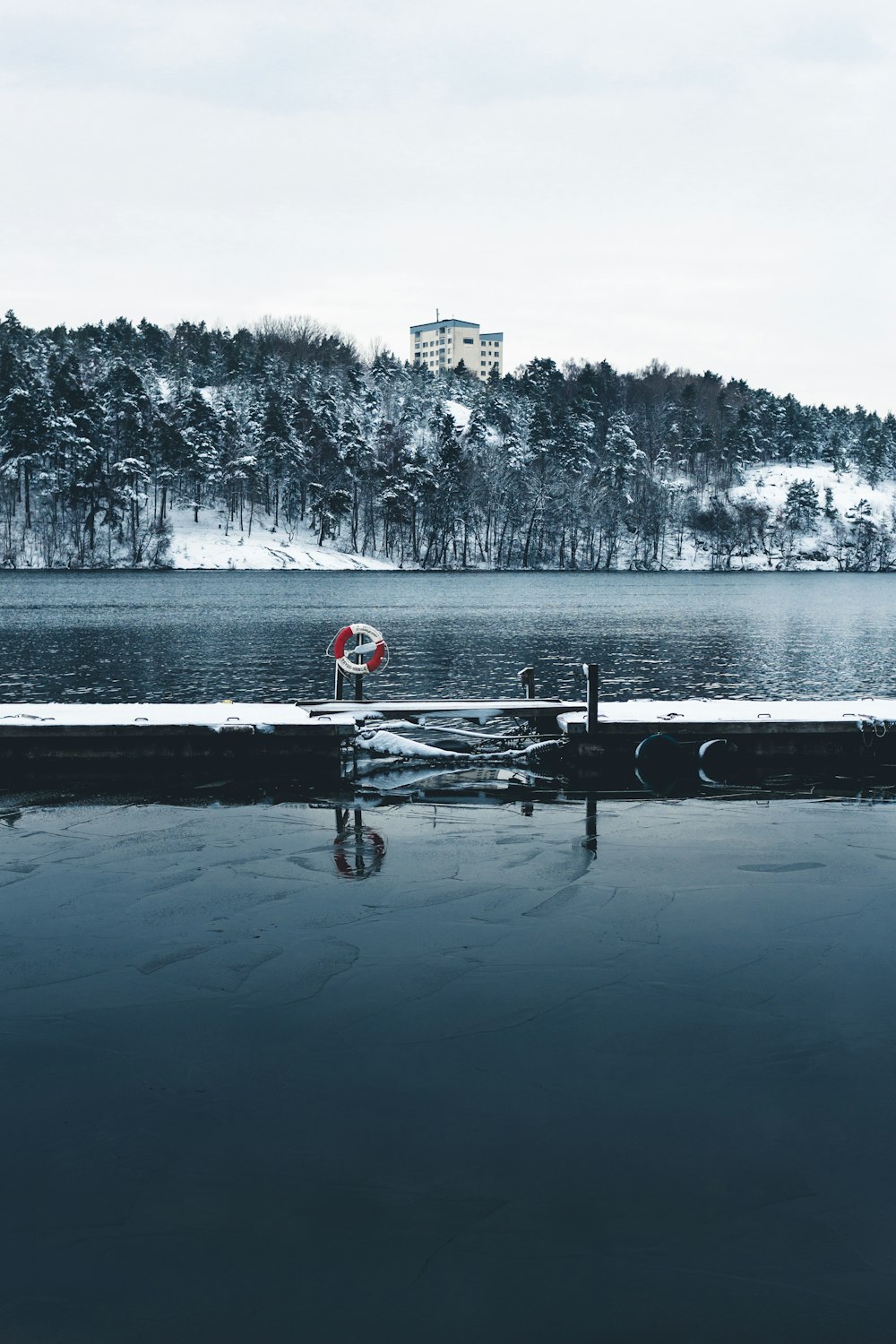 body of water across snow covered trees under cloudy sky