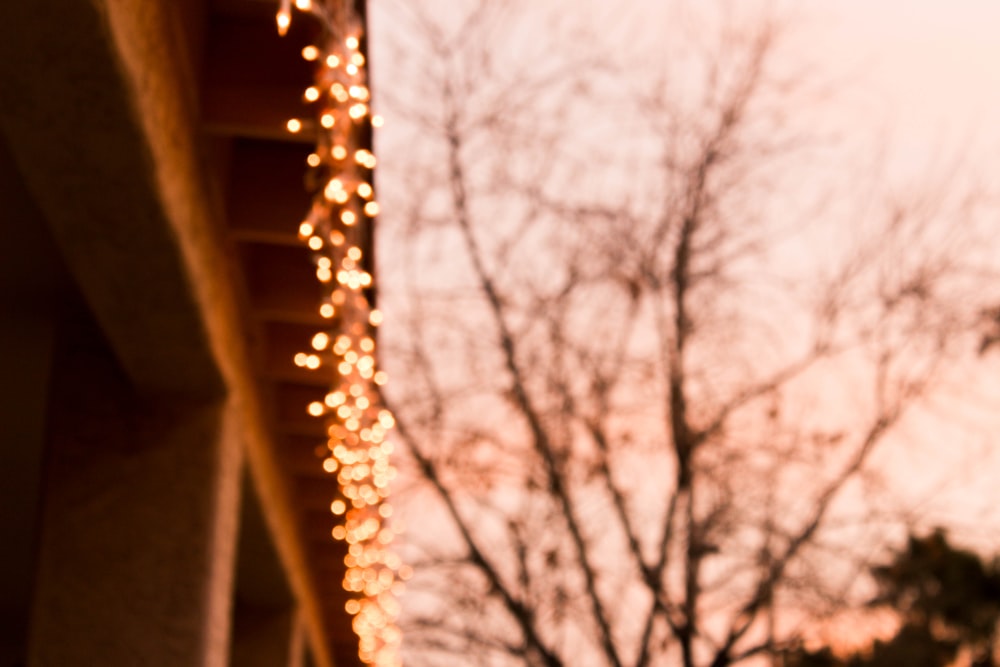 a street light with a tree in the background