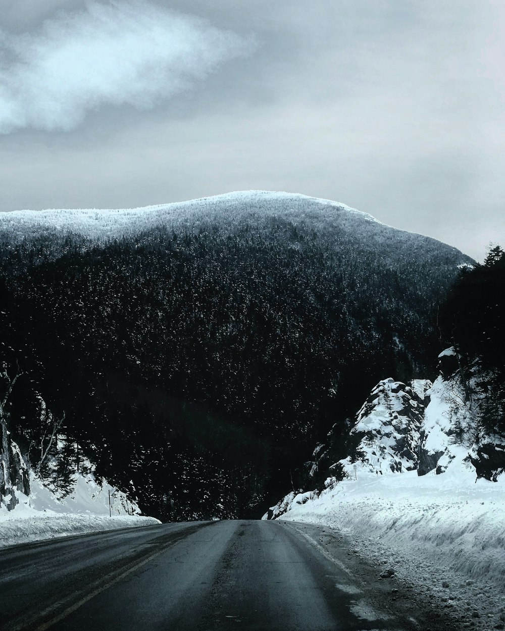 Carretera con árboles cubiertos de nieve