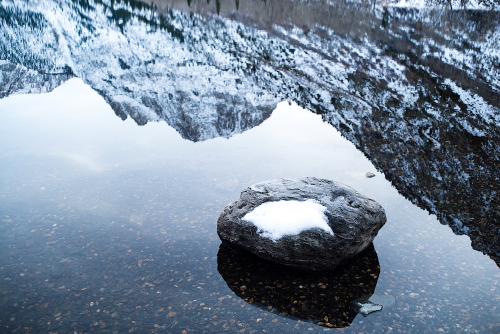 shallow focus photography of rock fragment on body of water